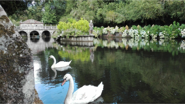 Caldas de Reis