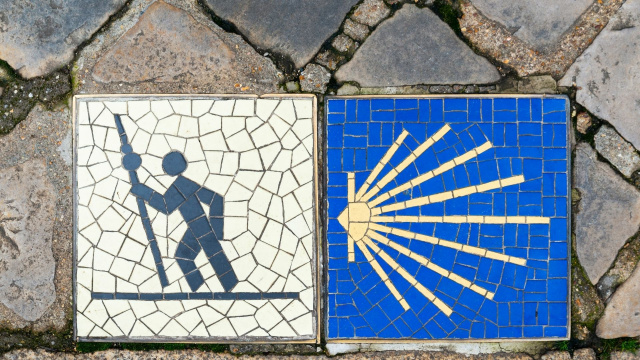 Camino Francés desde Sarria