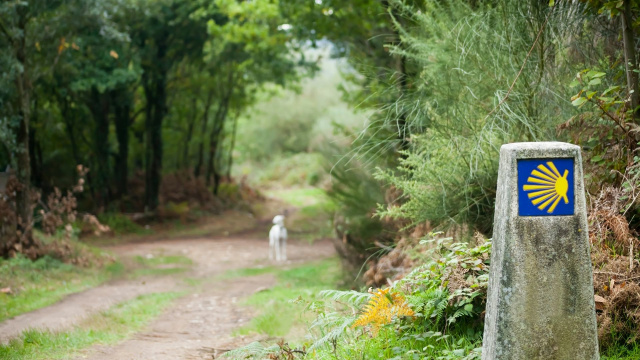 Camino Portugués desde Tui